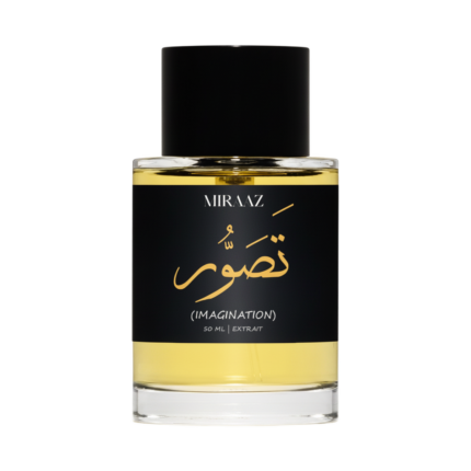 Tasavvur - Inspired by Imagination Louis Vuitton