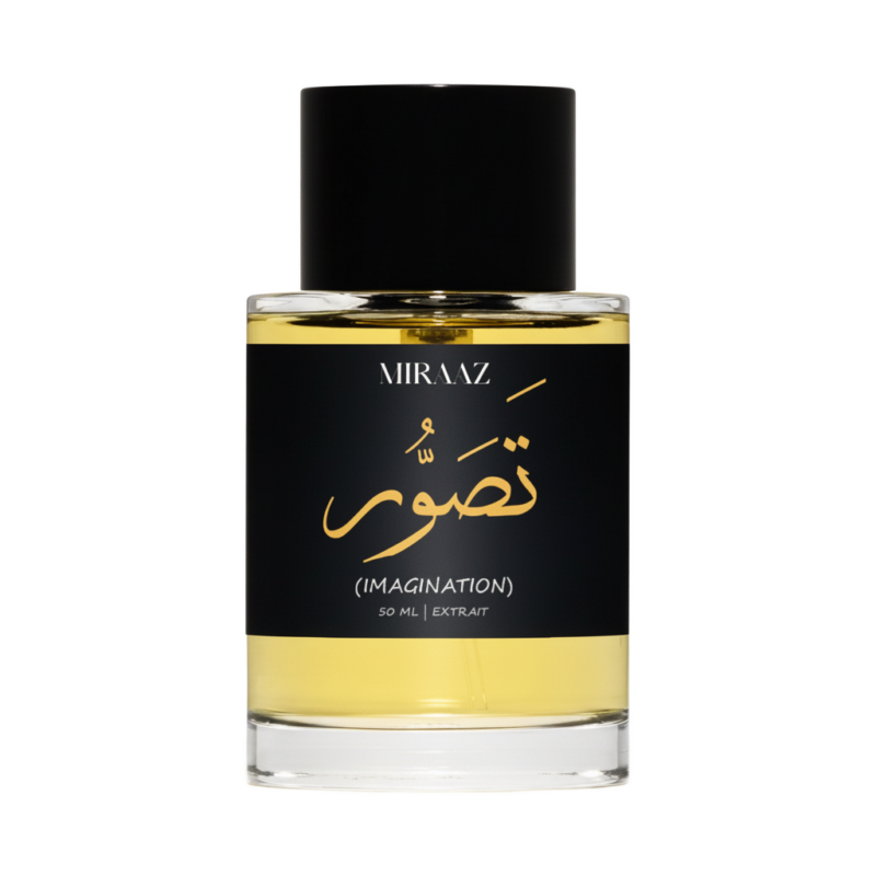 Tasavvur - Inspired by Imagination Louis Vuitton